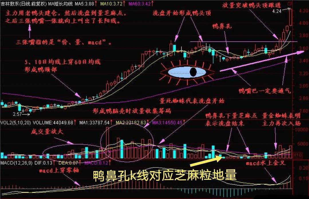 如何捕捉个股的起涨点？独家揭秘A股游资大户室老鸭头战法