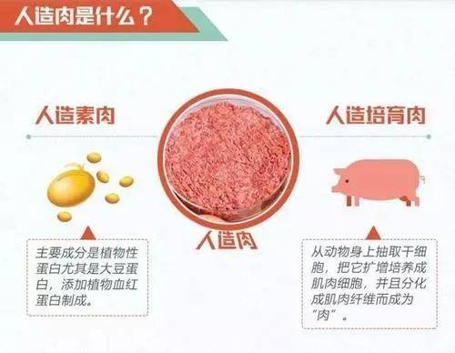 人造肉之东宝生物偿债能力分析相比房产企业居然这么优秀