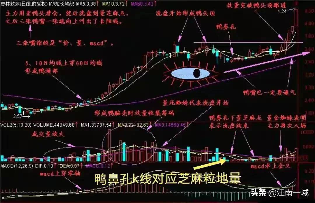 龙回头跟庄技巧详解炒股进阶