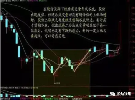 千假万假唯有量真一文详解股市中交易的八大用法句句经典