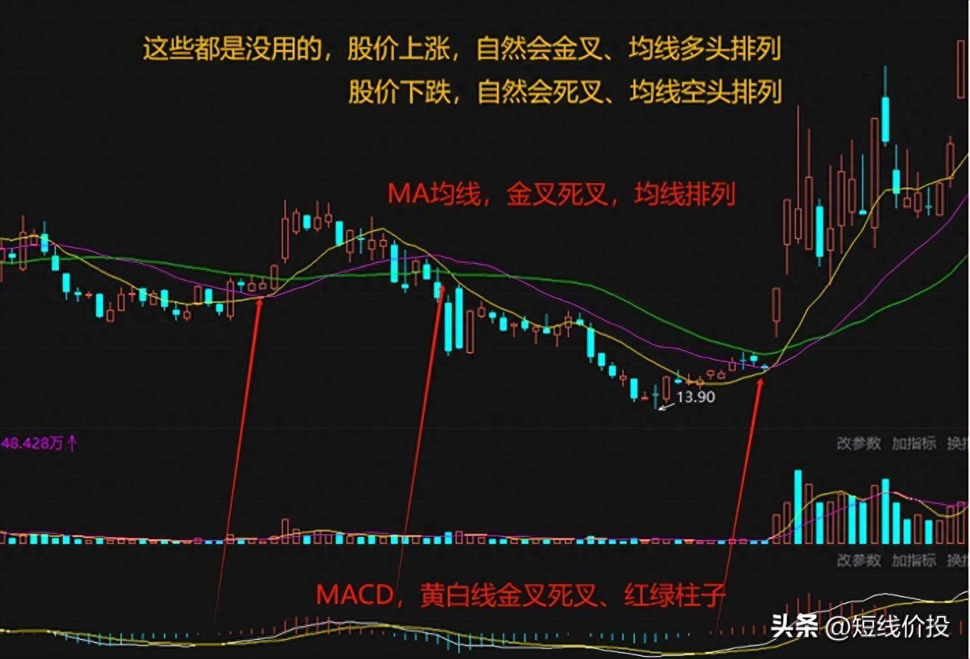 直指人心！为什么学了那么多却还是一直亏损？含泪看完全懂了！