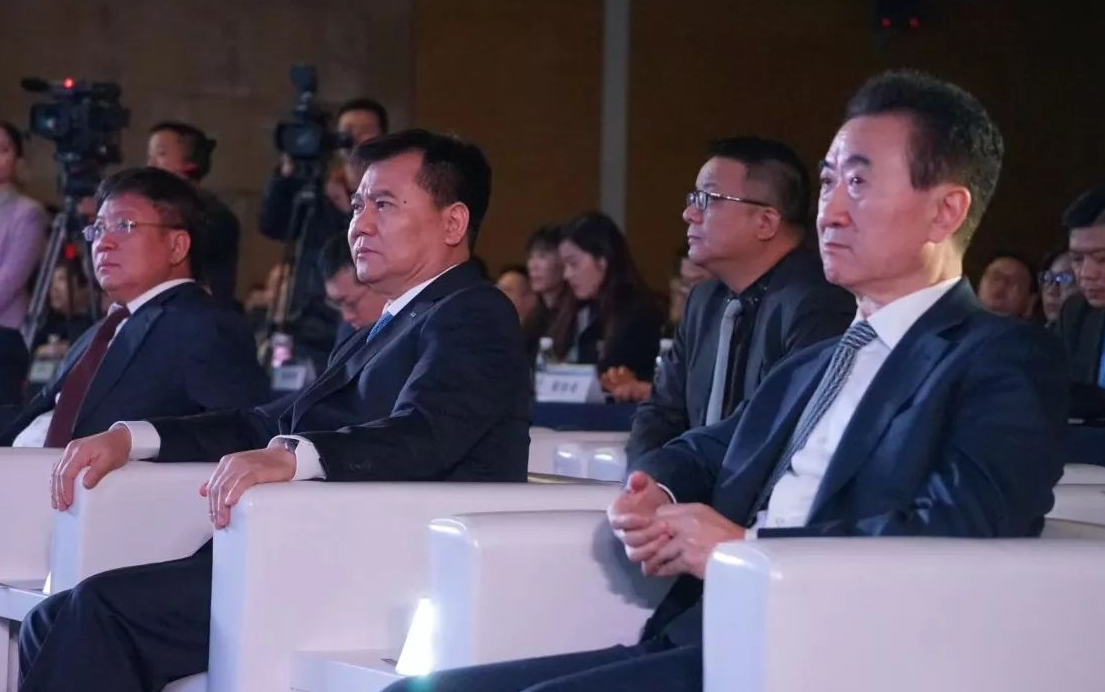 王思聪亮出捐款证明王健林再捐3000万每次都带头没啥好说的