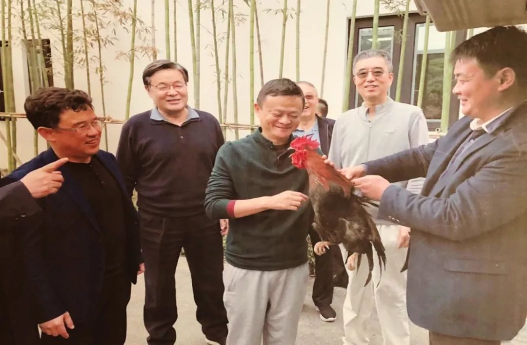 马云调侃你看得上我么？董明珠高情商式拒绝赢得一阵喝彩