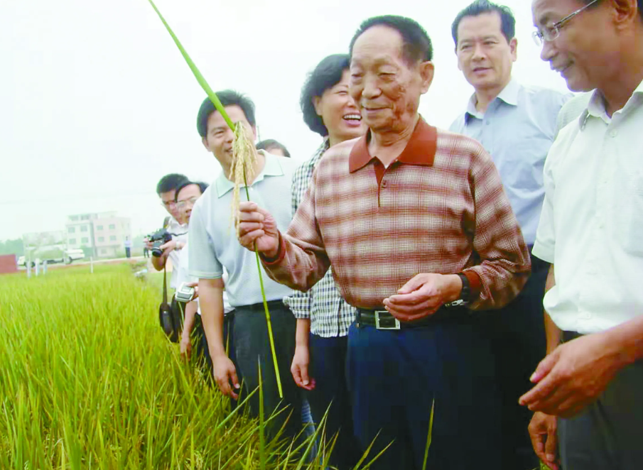 粮食安全要仰仗化肥安全？曾55需要进口如今我们世界第一