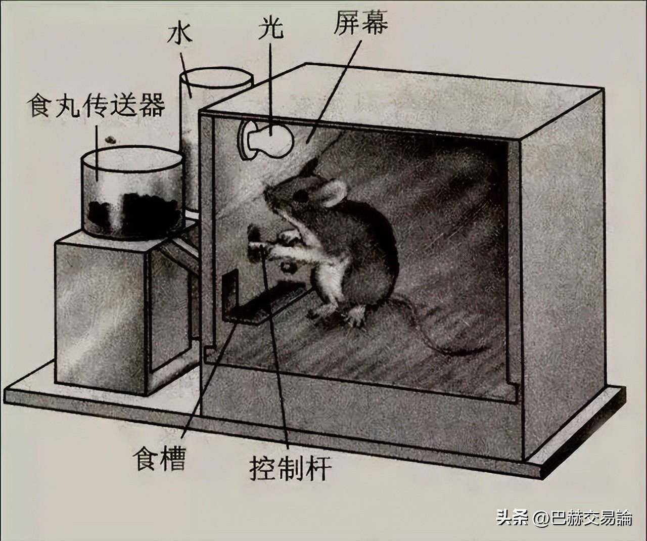普通散户和专业交易者有什么不同？