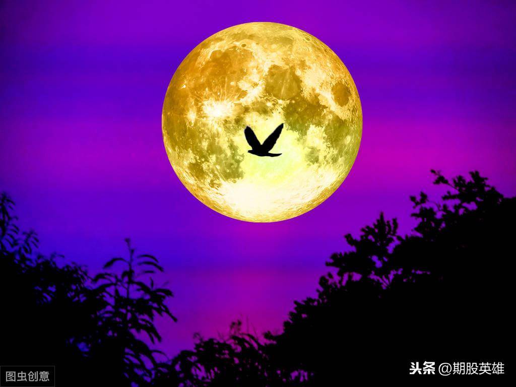 自我修炼路上人与市场怎么相处？