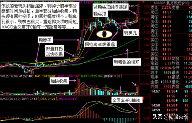 经典老鸭头技术重现