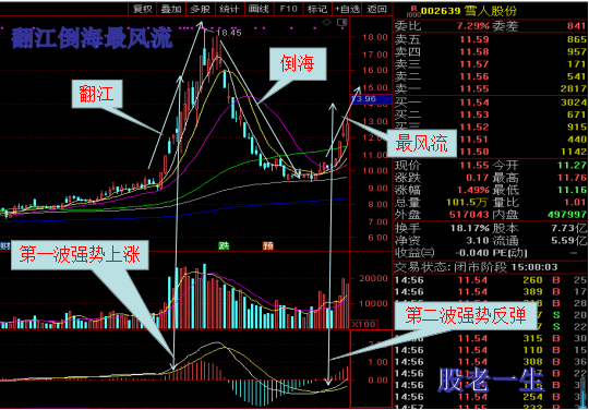 如何抓住强势股大跌后的报复性反弹机会翻江倒海最风流