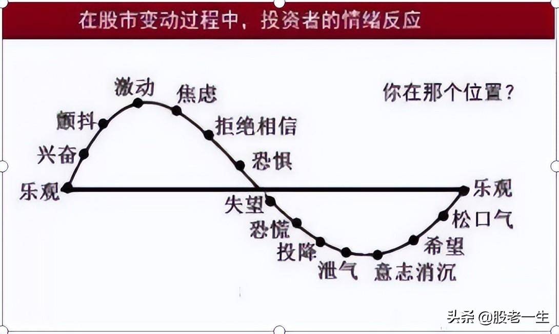 投资要想成为赢家投资者需要做些什么系列课程理念篇