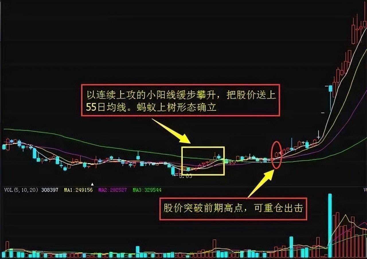 高手只做一种趋势蚂蚁上树形态股价飙升是板上钉钉的事！
