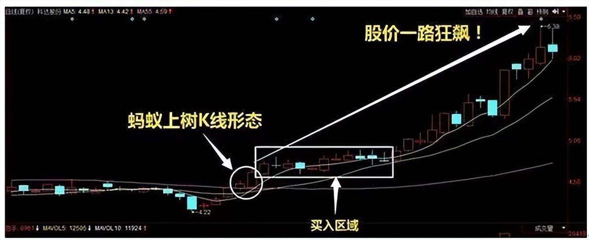 高手只做一种趋势蚂蚁上树形态股价飙升是板上钉钉的事！