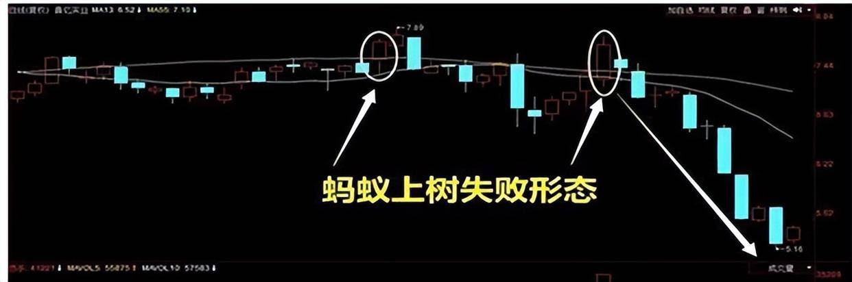 高手只做一种趋势蚂蚁上树形态股价飙升是板上钉钉的事！