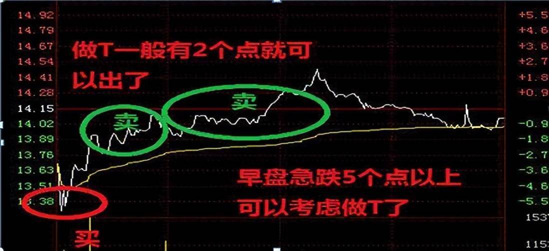 炒股不割肉长达15年持有一只股反复做T照样挣万贯家财！