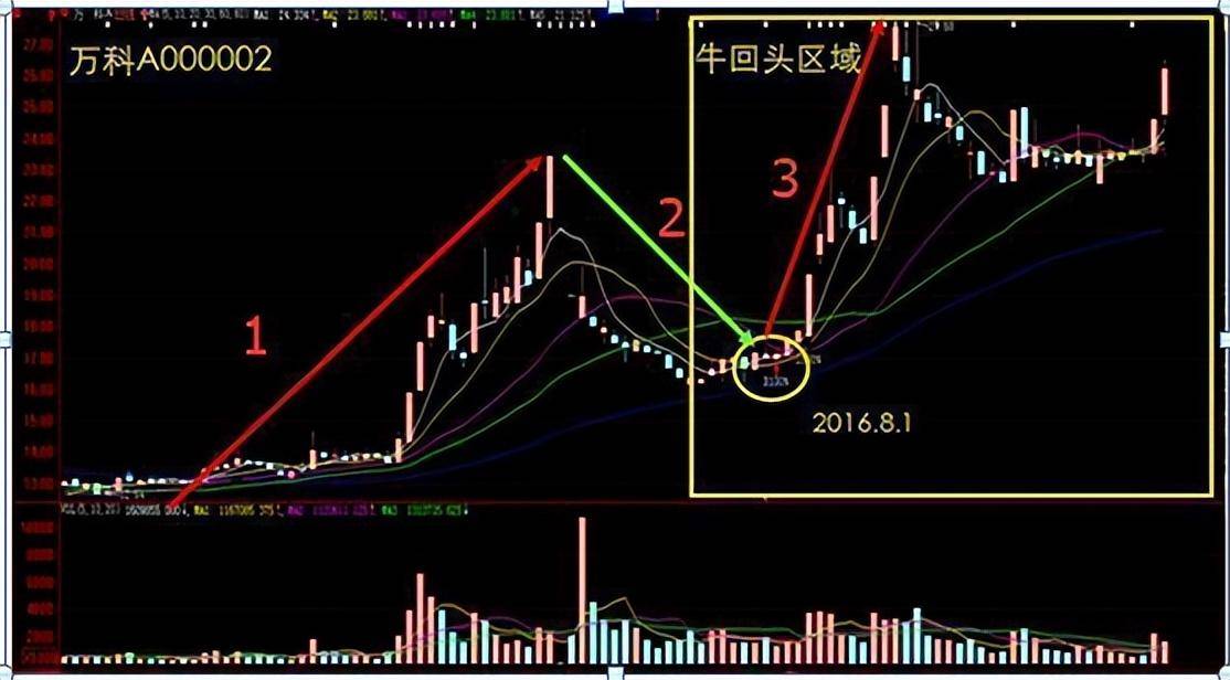 傻瓜式的炒股方法坚持只做牛回头短线战法赚的盆满钵满！