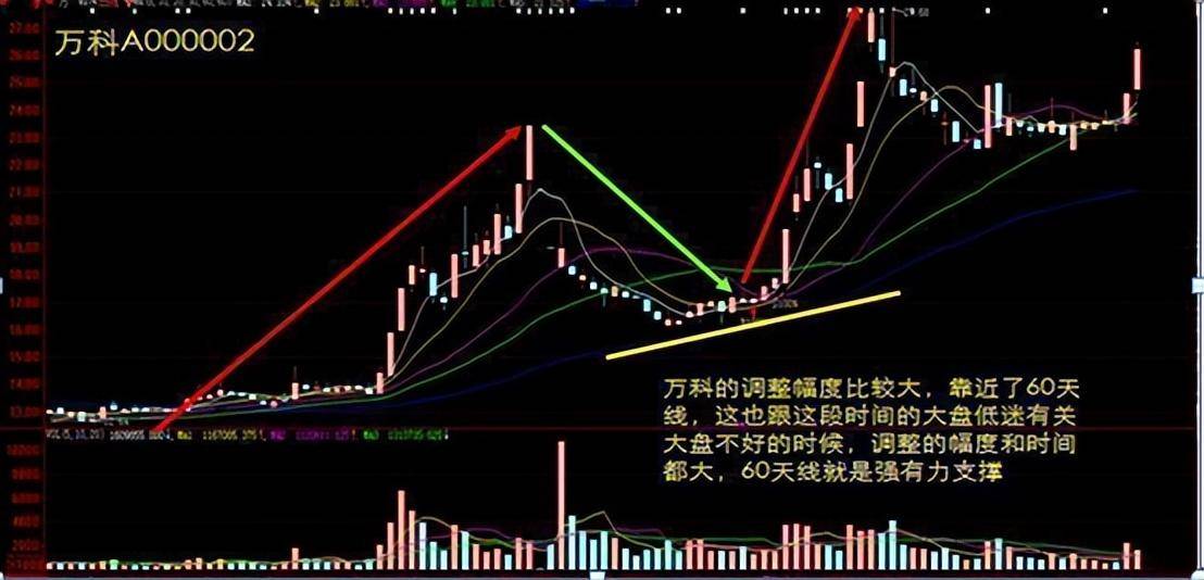 傻瓜式的炒股方法坚持只做牛回头短线战法赚的盆满钵满！