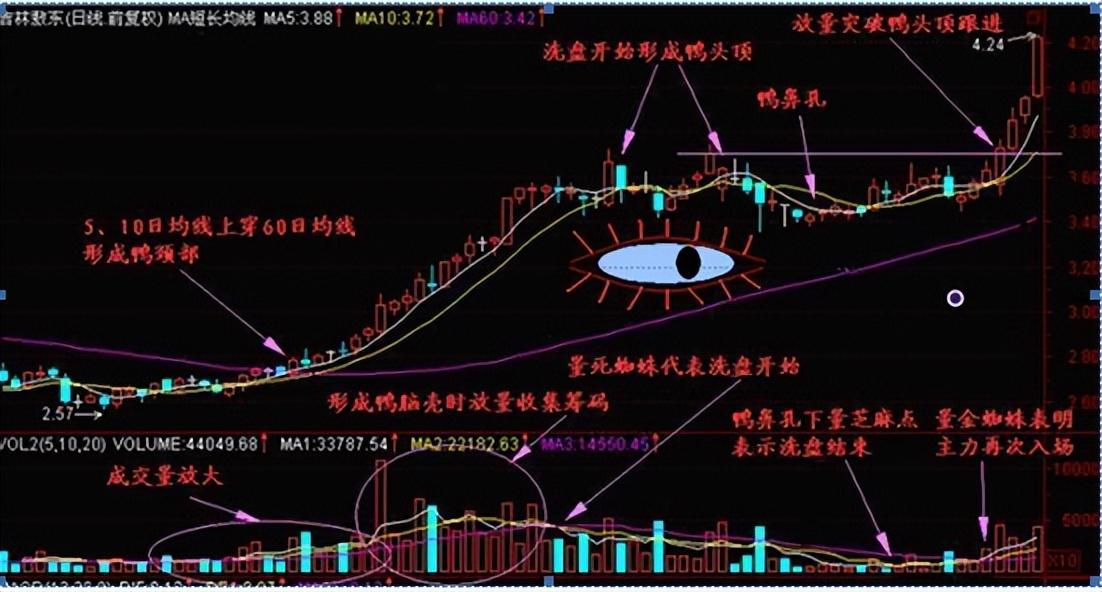 中国真正厉害的只有一种人做一个安静的投资者看完后大彻大悟