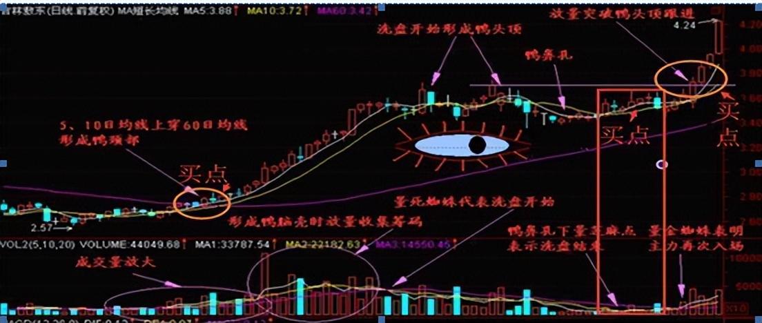 中国真正厉害的只有一种人做一个安静的投资者看完后大彻大悟