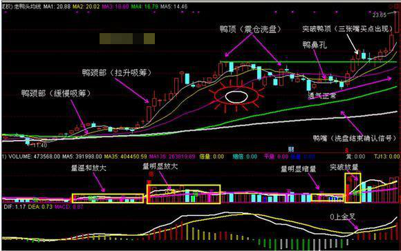 中国真正厉害的只有一种人做一个安静的投资者看完后大彻大悟