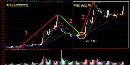 炒股想做到不亏损务必反复死记牛回头走势的股票大道至简