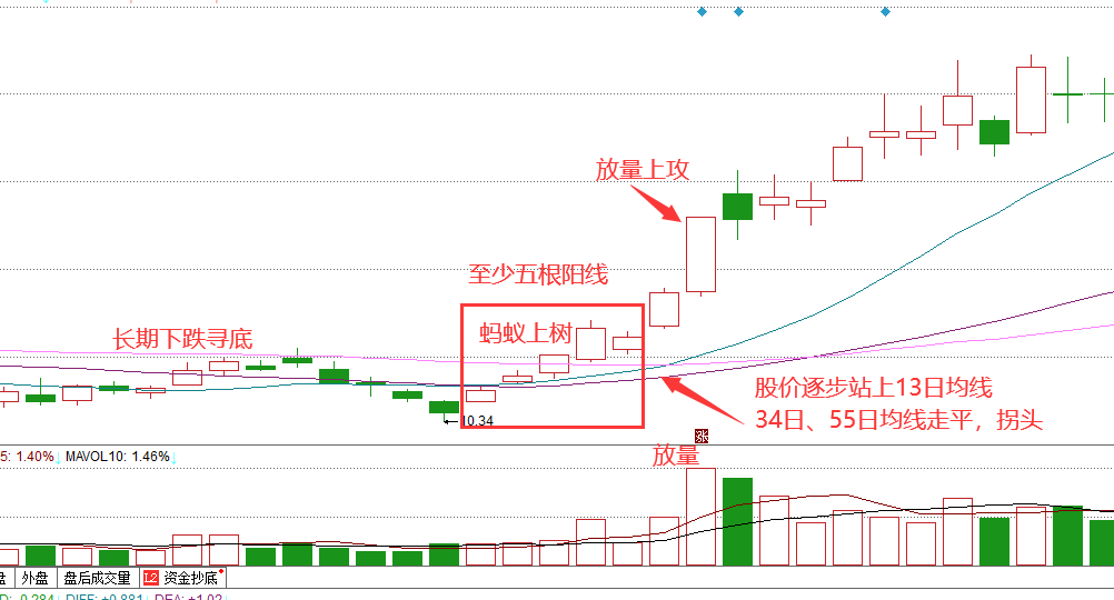 股票一旦出现蚂蚁上树形态坐等主升浪拉升反复阅读10遍！