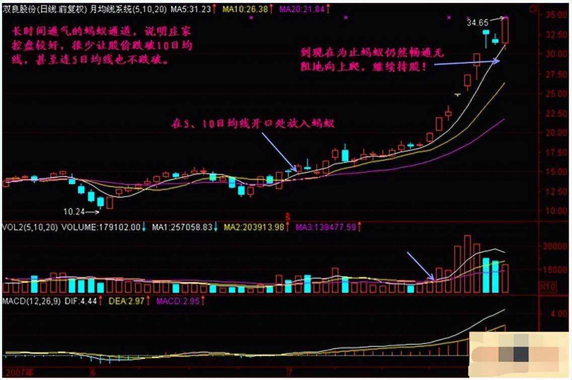 股票一旦出现蚂蚁上树形态坐等主升浪拉升反复阅读10遍！