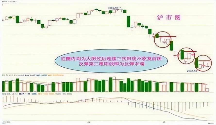 中国股市里永远赚钱的一种人牢记14字铁律整整读了十遍精辟