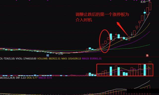 炒股这行到底有没有秘密？十六年散户首次分享看完我悟了！