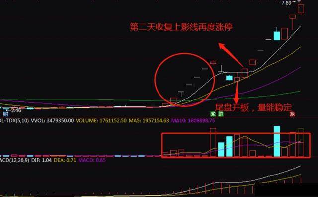 炒股这行到底有没有秘密？十六年散户首次分享看完我悟了！