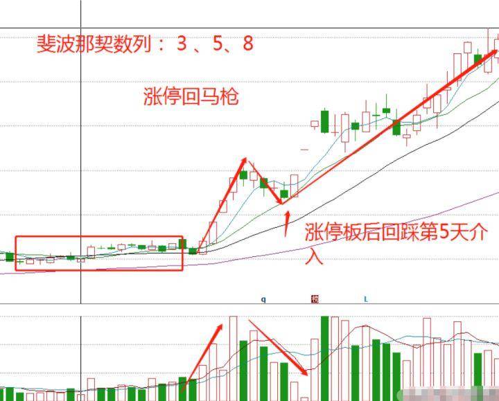 是否真的有一劳永逸的交易系统？职业股民的肺腑之言！醍醐灌顶