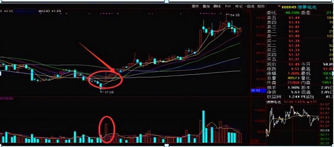 职业老股民的不传之秘一条均线走天下看完醍醐灌顶！