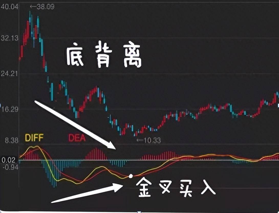 牢记这些炒股技巧不做任人收割的韭菜学到就是赚到了！