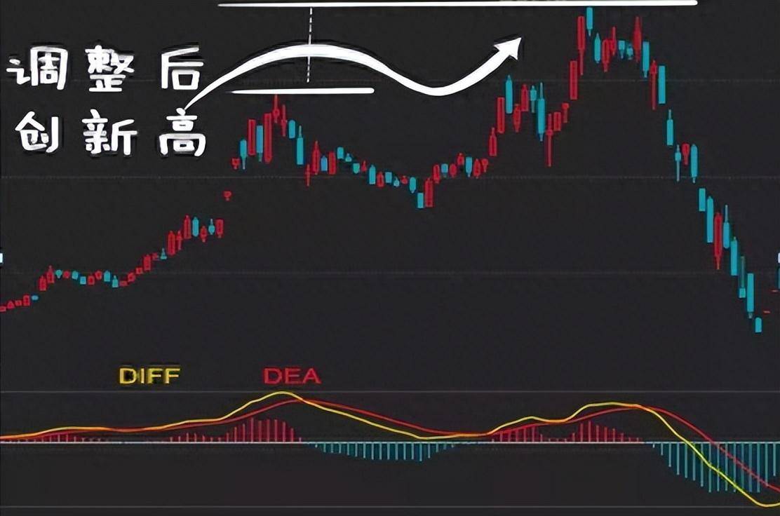 牢记这些炒股技巧不做任人收割的韭菜学到就是赚到了！