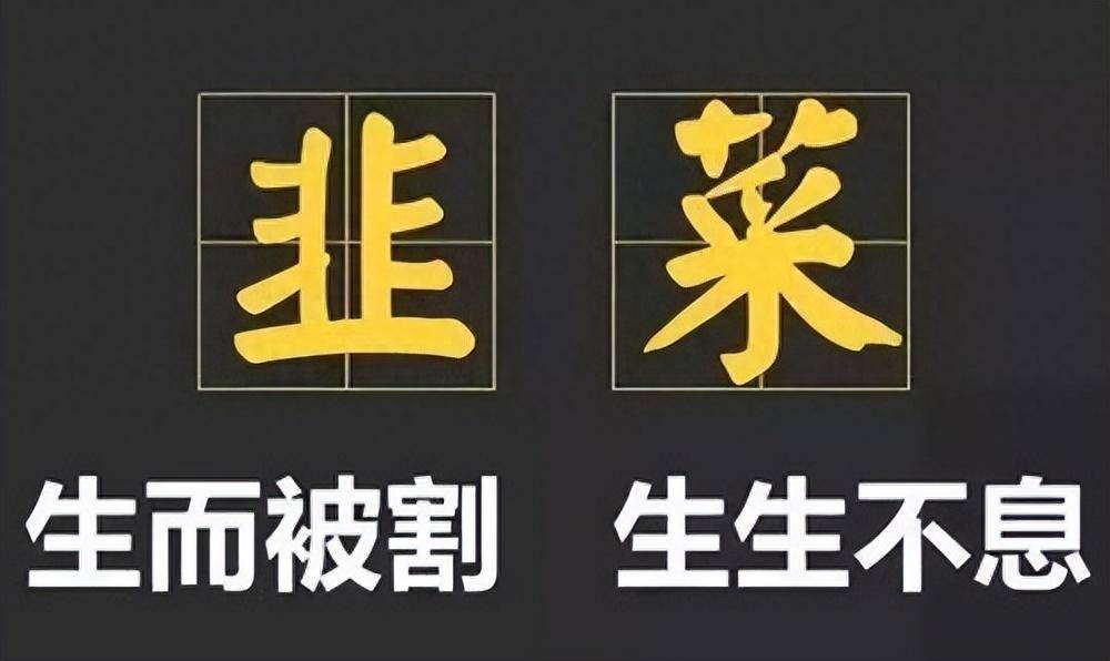戳穿主力洗盘套路别总被洗得一无所有才后悔看完瞬间清醒
