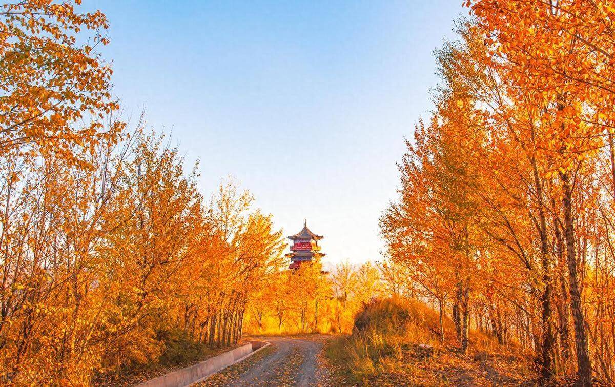 小做大的最好方式股民致富的秘密我读了不下百遍！