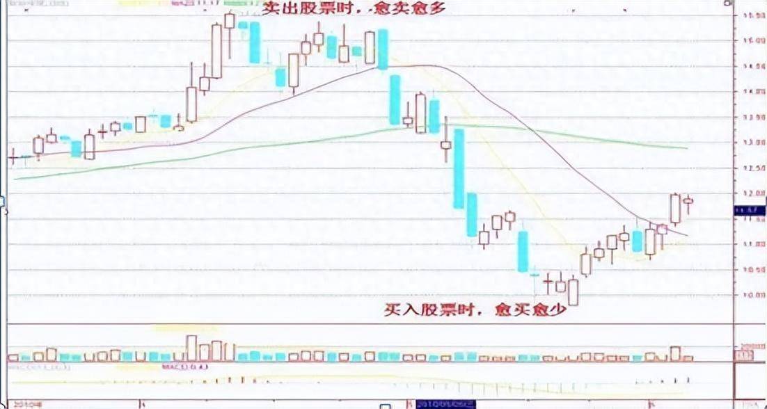 中国股市最赚钱的一类投资者用最笨的方法越简单的往往越赚钱