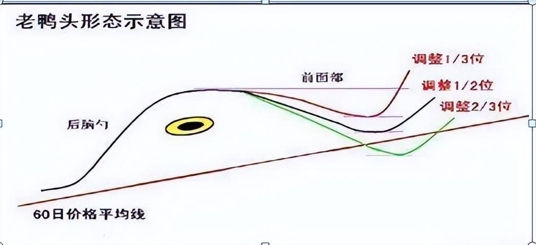 从负50万到赚900万只因坚持老鸭头买入法赚得盆满钵满！