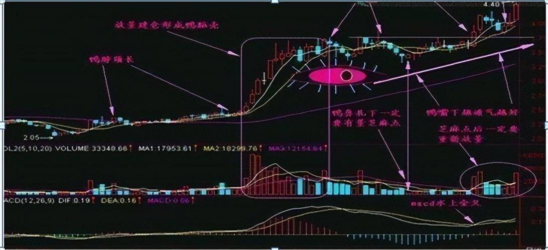 从负50万到赚900万只因坚持老鸭头买入法赚得盆满钵满！