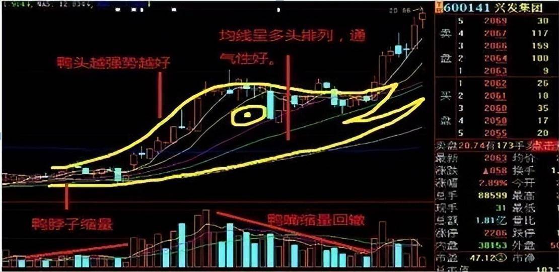 从负50万到赚900万只因坚持老鸭头买入法赚得盆满钵满！