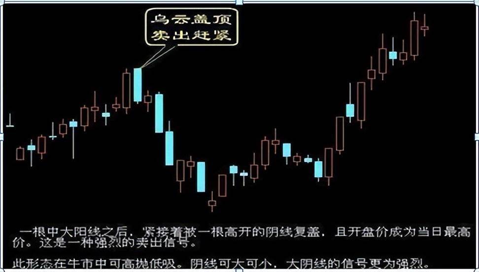 犹太人的财富智慧牢记不冲高不卖不跳水不买醍醐灌顶！