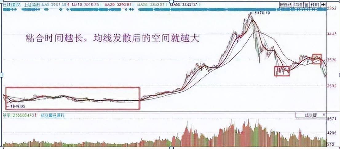 职业老股民的不传之秘均线粘合之下无秘密看懂赚到怀疑人生！