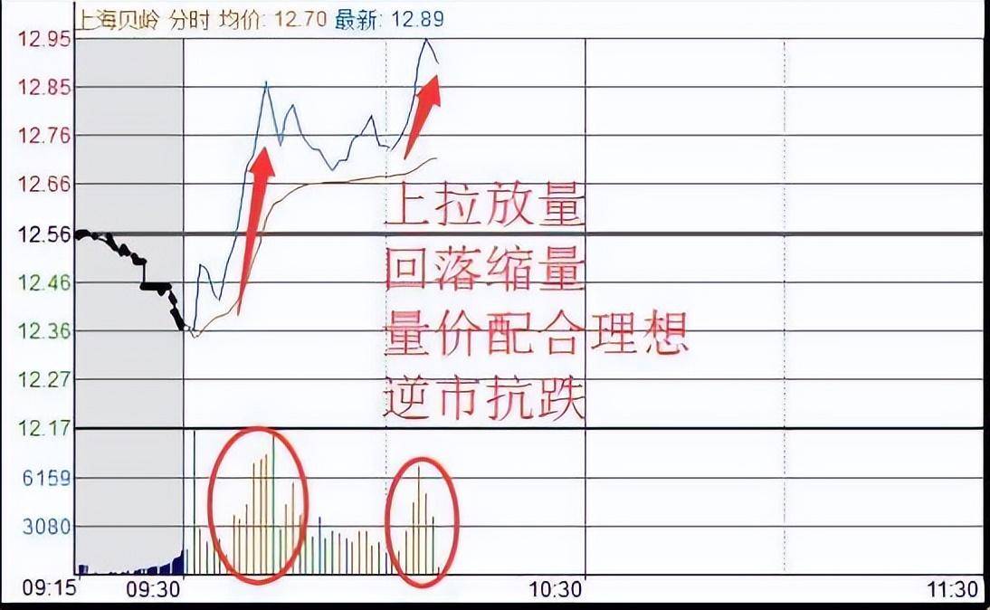 中国股市长期持有一只股票反复做T看完大彻大悟