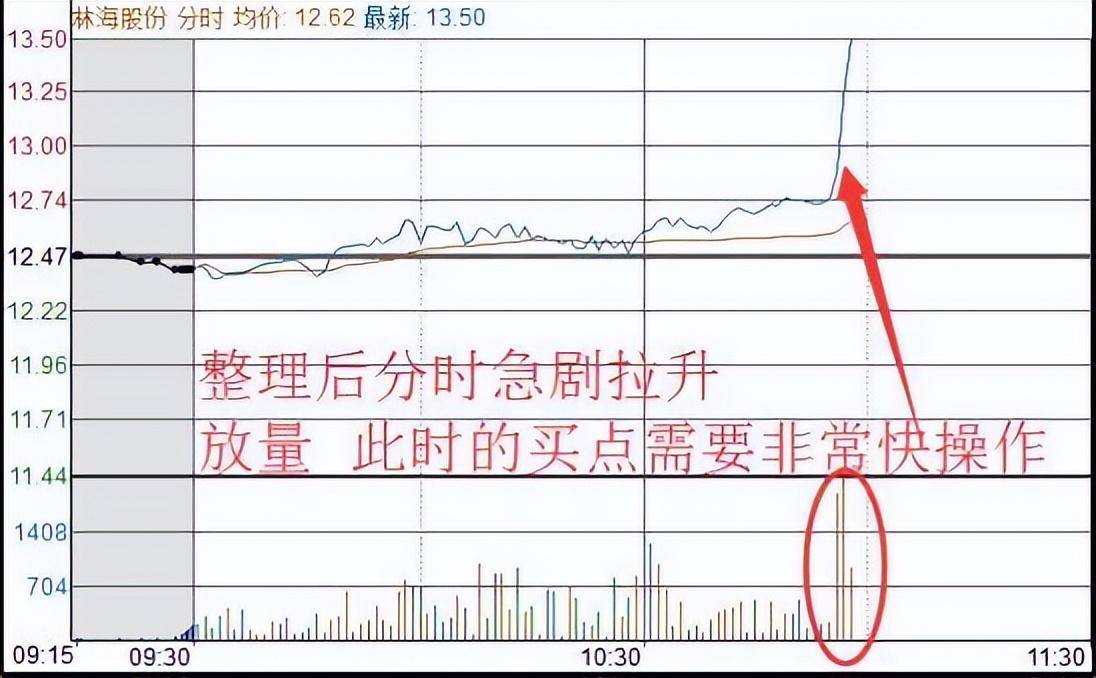 中国股市长期持有一只股票反复做T看完大彻大悟