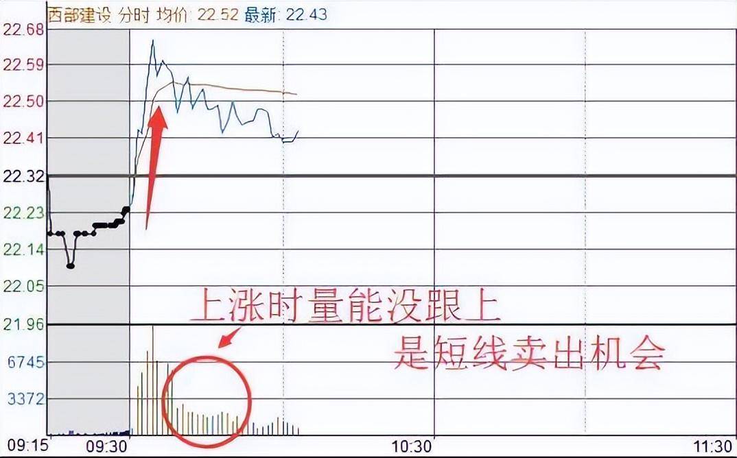 中国股市长期持有一只股票反复做T看完大彻大悟
