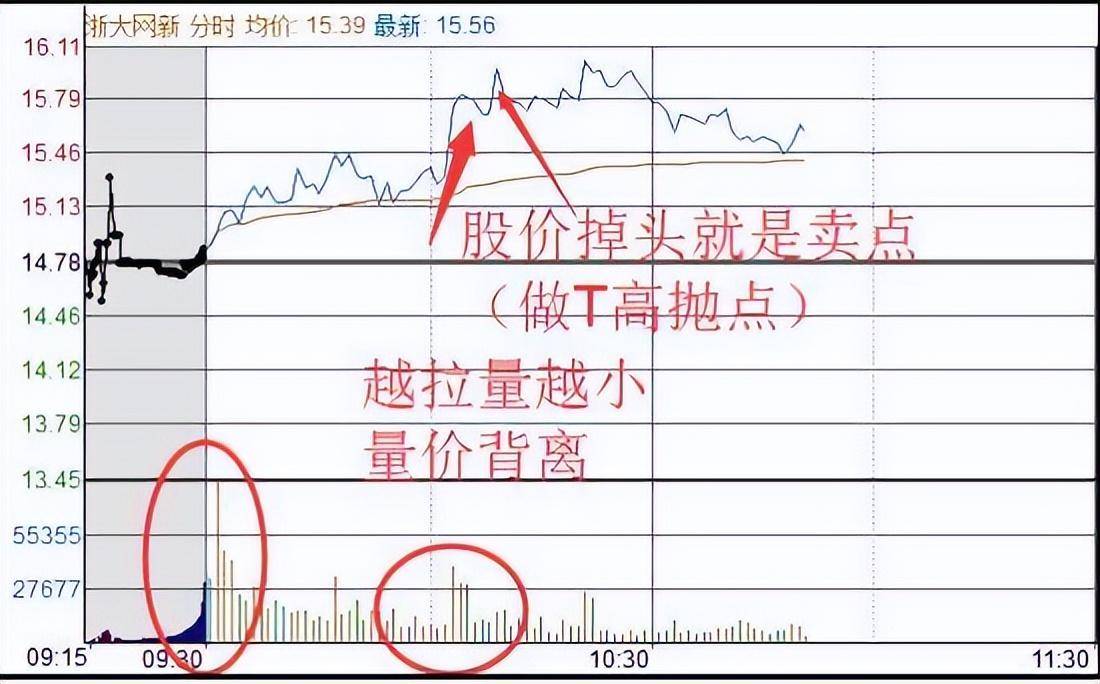 中国股市长期持有一只股票反复做T看完大彻大悟
