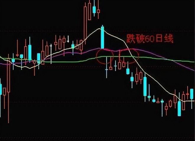 深圳金融女博士直言炒股厉害的人都会注意这几点看完大彻大悟