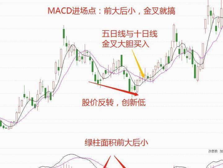 北大30岁金融女博士箴言只靠一只股赚钱挣的怀疑人生