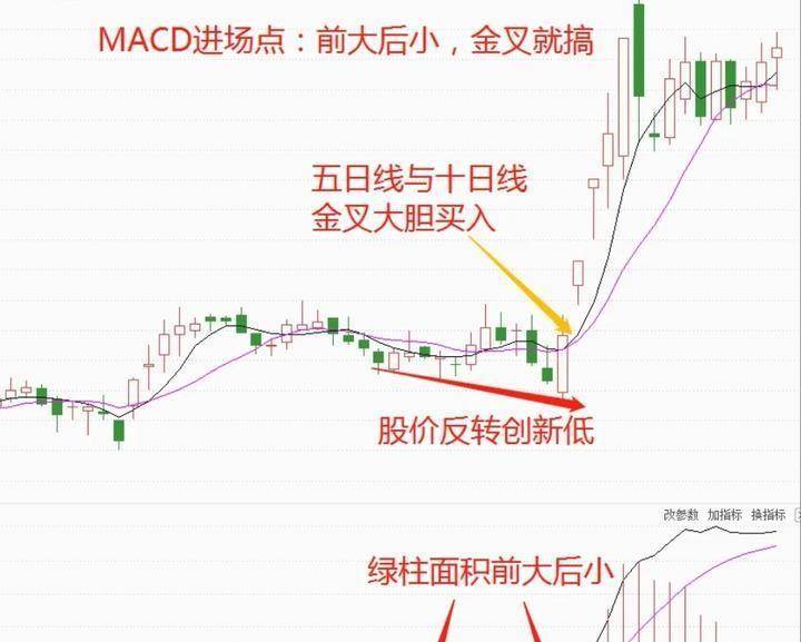 北大30岁金融女博士箴言只靠一只股赚钱挣的怀疑人生