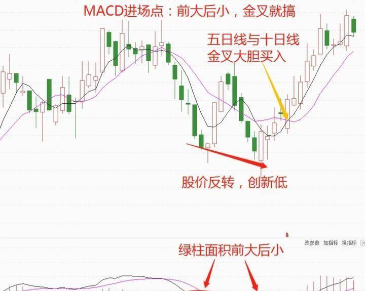 北大30岁金融女博士箴言只靠一只股赚钱挣的怀疑人生