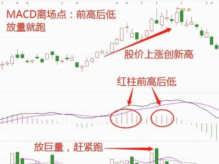 北大30岁金融女博士箴言只靠一只股赚钱挣的怀疑人生