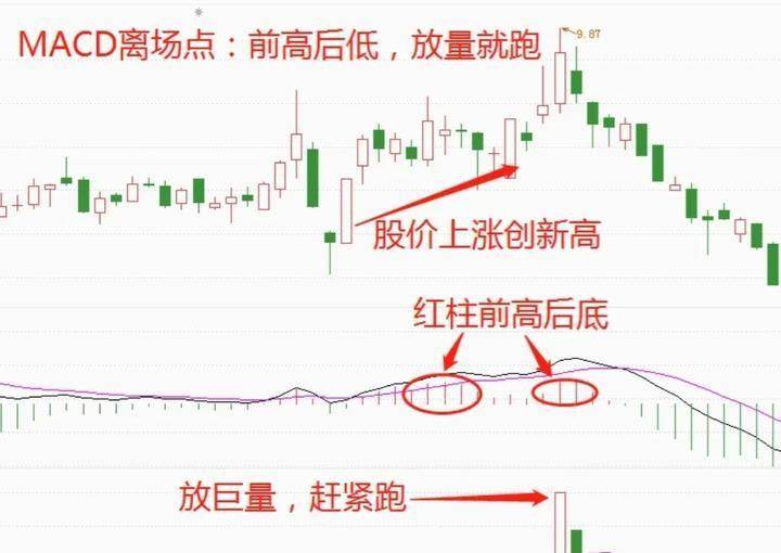 北大30岁金融女博士箴言只靠一只股赚钱挣的怀疑人生